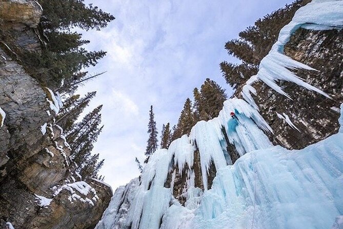 Banff Area & Johnston Canyon 1-Day Tour from Calgary or Banff - Sulphur Mountain Gondola: Optional, But Often the Main Event