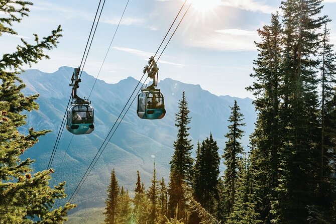 Banff National Park, Johnston Canyon Day Trip from Banff/Calgary - Bow Falls: the quick stop that delivers real wow