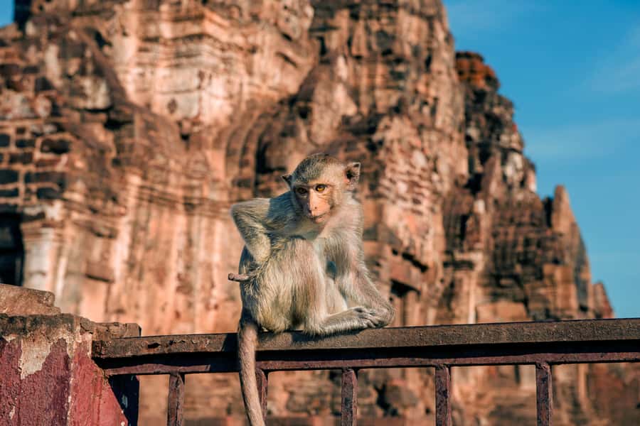 Bangkok: Ayutthaya & Lopburi Monkey Temple Private Day Trip - Wat Phu Khao Thong: the Golden Mount warm-up outside Ayutthaya