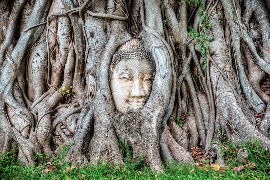 Bangkok: Ayutthaya & Lopburi Monkey Temple Private Day Trip - Lopburi free time: use it for a slow walk, not another checklist