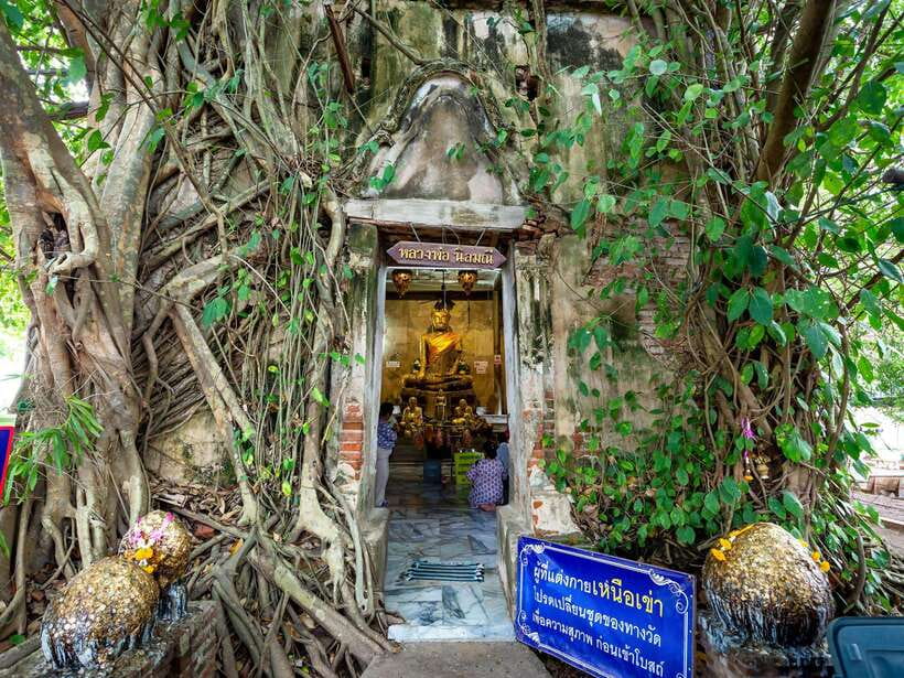 Bangkok: Maeklong Railway & Amphawa Floating Market Day Trip - Logistics You’ll Actually Feel: Long Day, Right Timing, and Dress Rules