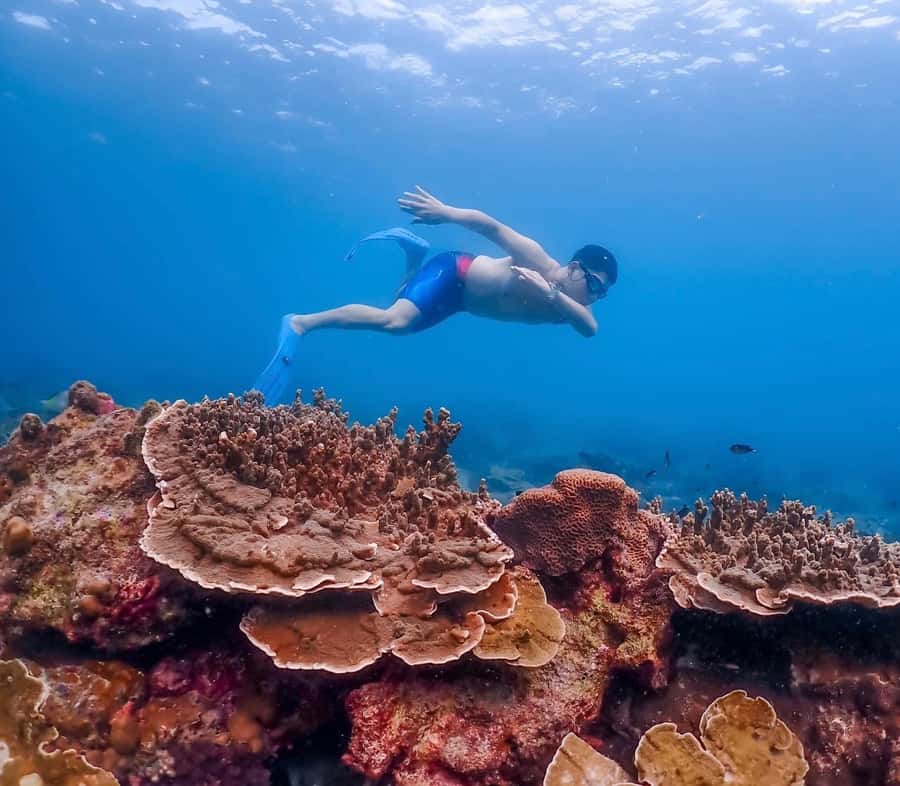 Bangkok: Nemo Island Day Trip with Drone Photos and Lunch - Small print that matters on the day: what to bring and what not to carry