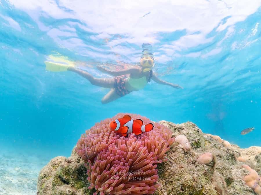 Bangkok: Nemo Island Day Trip with Drone Photos and Lunch - Bangkok pickup, the 11-hour rhythm, and the Khao Chi Chan photo stop