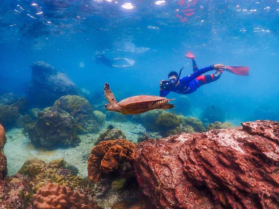 Bangkok: Nemo Island Day Trip with Drone Photos and Lunch - Lunch by the seaside and the ride back to Bangkok