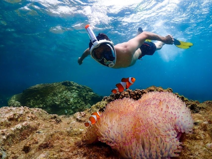 Bangkok: Nemo Island Day Trip with Drone Photos and Lunch - Who this tour fits best, and who should skip it
