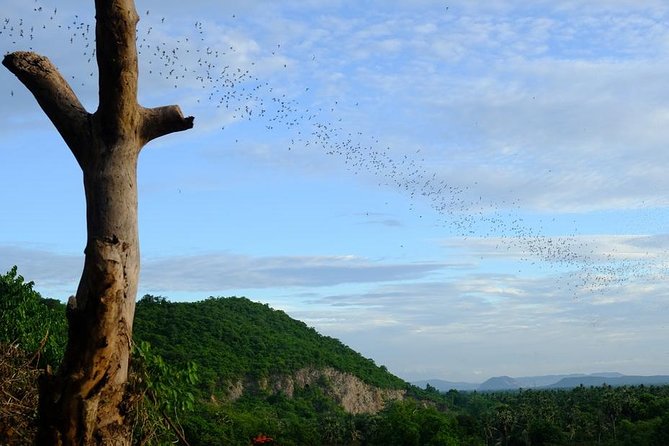 Battambang Full Day Tour from Siem Reap - Bamboo Train, Killing Cave & Sunset - Wat Banan temple and the 365 stairs: your workout with a view