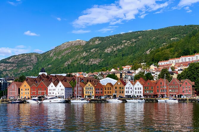 Bergen in a day, Guided tour: Old Town, Waterfalls & Waffles - Salthammeren Stone Age carvings: 5,000 years of stubborn survival