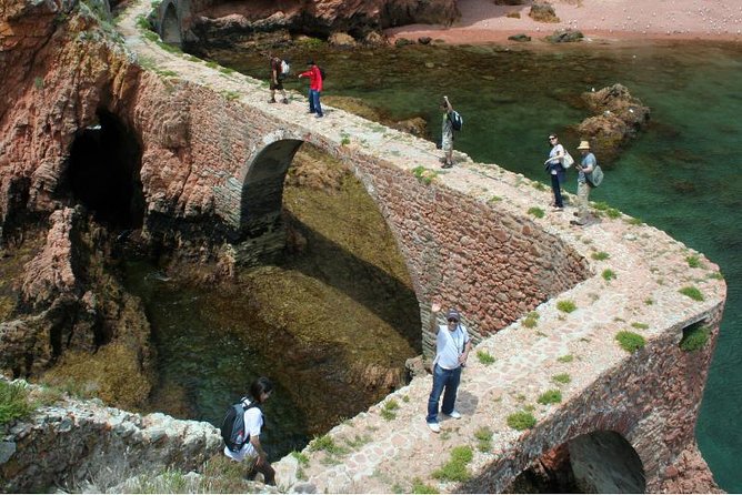 Berlenga Island Small-Group Day Trip from Lisbon - The Berlengas Nature Reserve walk: flora and fauna on a small island