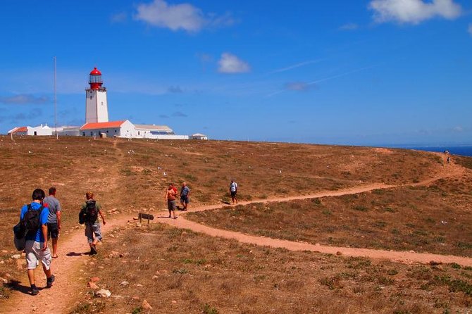 Berlenga Island Small-Group Day Trip from Lisbon - Small-group pacing, guide energy, and what you’ll likely feel