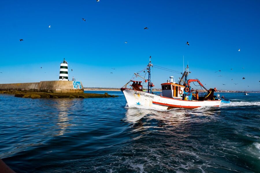Berlengas The Atlantic Frontier: Day Tour from Lisbon - Snorkeling and Beach Time: The Part You’ll Remember
