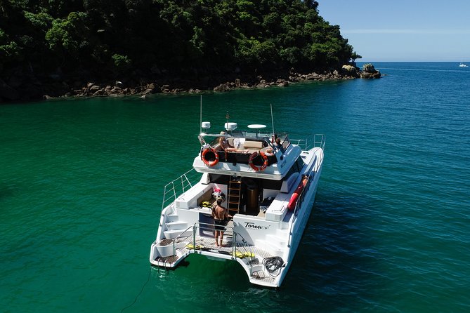 Best Abel Tasman Day trip - Key things that make this day trip feel worth it