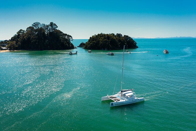 Best Abel Tasman Day trip - Abel Tasman Coast Track: Pitt Head loop for fern glades and big views