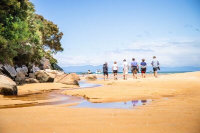 Best Abel Tasman Day trip - Split Apple Rock: iconic coast views without the long wait
