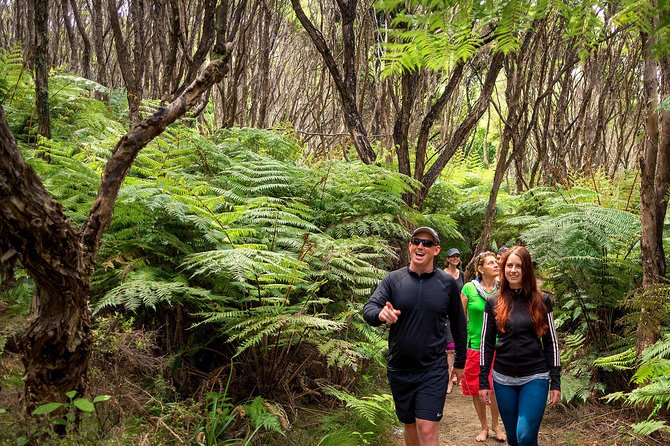 Best Abel Tasman Day trip - Getting there from Nelson: Kaiteriteri start versus shuttle add-on