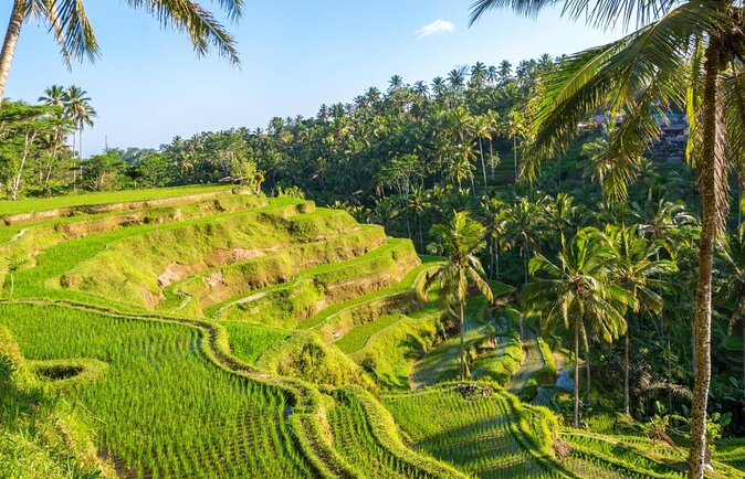 Best Day Trip in Bali - Key things that make this day trip work