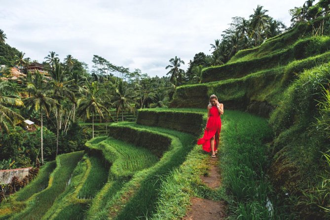 Best Day Trip in Bali - Price and Value: What $29.29 Buys You in Bali