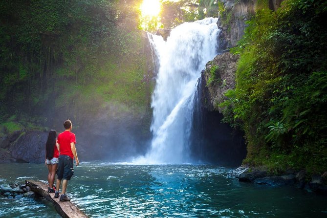 Best Day Trip in Bali - Who This Tour Is Best For