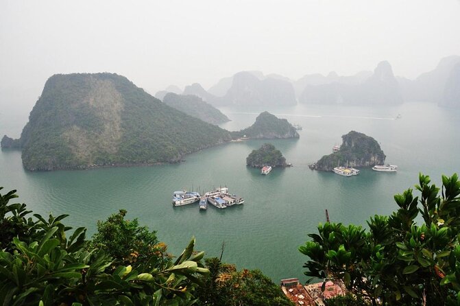 Best Halong 5 star Day Trip, inclusive,buffet,cave,kayak,transfer - Key highlights at a glance