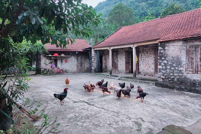 Best Private Day Trip Hanoi to Ninh Binh: Multiple Options - Lunch with a local family: simple, real, and timed well