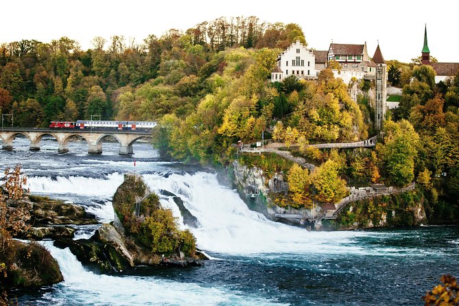 Black Forest and Rhine Falls Day Trip from Zurich - Lake Titisee Free Time: Stroll, Snacks, and Schwarzwälder Kirschtorte