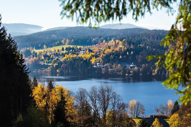Black Forest and Rhine Falls Day Trip from Zurich - Price and Value: What You’re Paying For