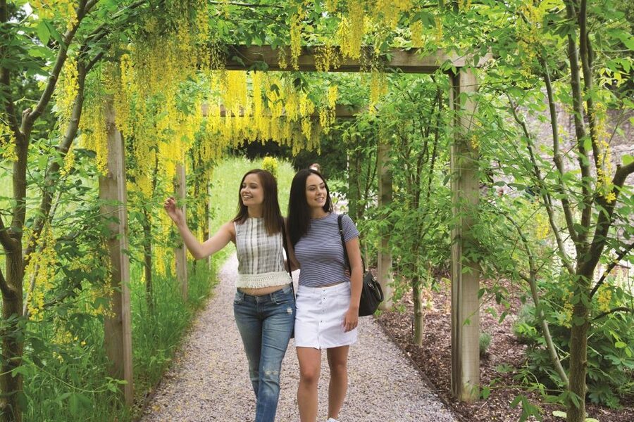 Blarney Castle Full-Day Tour from Dublin - Meeting at Paddy’s Palace and Settling Into the 13-Hour Pace