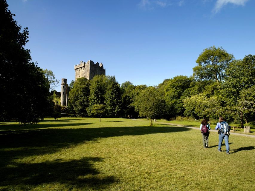 Blarney Castle Full-Day Tour from Dublin - Cork Stop on the River Lee: English Market or St. Finbarre’s Cathedral