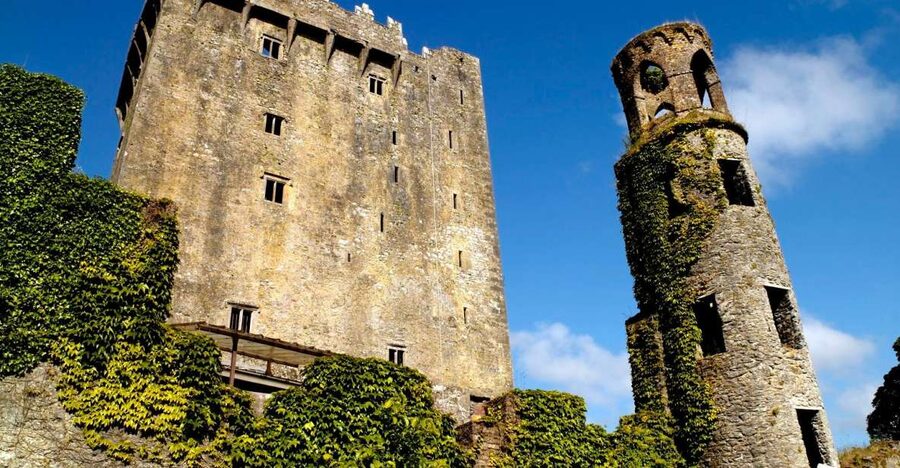Blarney Castle Full-Day Tour from Dublin - Guide Energy: Humor, History, and a Smooth Flow