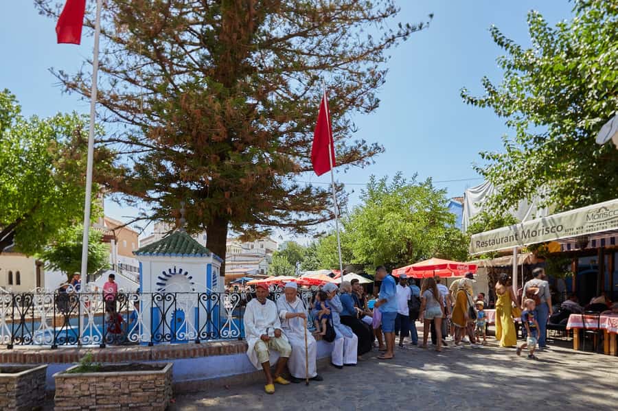 Blue City magic: Affordable Day Trip from Fez to Chefchaouen - Price and value: $22 for a long, scenic outing