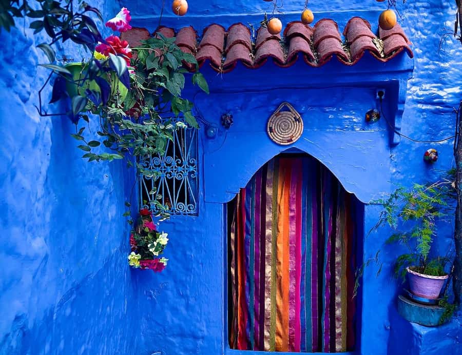 Blue City magic: Affordable Day Trip from Fez to Chefchaouen - Getting started in Fez: pickup, tea, and the quick handoff
