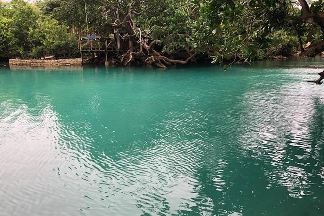 Blue Lagoon & Eden on the River - Half Day Trip with Yumi Tours - Stop 2: Eden on the River cascades, walkways, and optional thrills