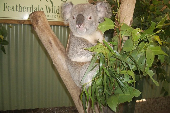 Blue Mountains Tour PRIVATE with Wildlife Park and River Cruise - A full-day format that works (even when you want variety)