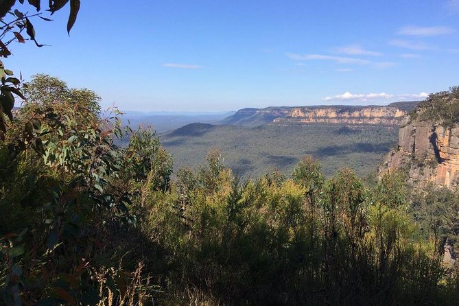 Blue Mountains Tour PRIVATE with Wildlife Park and River Cruise - Leura for a quick reset: shops, gardens, and a break from the cliffs