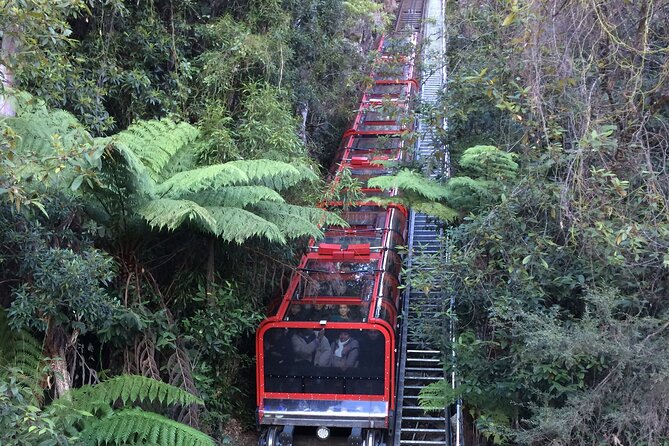 Blue Mountains Tour PRIVATE with Wildlife Park and River Cruise - Sydney Harbour ferry return: a calm finish near the Opera House
