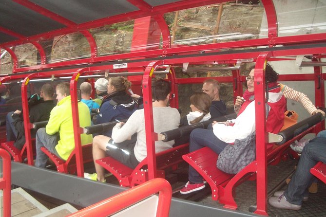 Blue Mountains Tour PRIVATE with Wildlife Park and River Cruise - Cahill’s Lookout and short stops: extra angles without extra stress