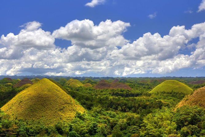 Bohol Countryside Day Tour From Cebu City | Lunch at Loboc River Cruise - Baclayon Church and the Blood Compact Monument: history, but keep it quick