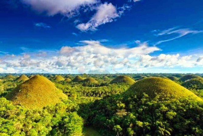 Bohol Countryside Day Tour From Cebu City | Lunch at Loboc River Cruise - Price and what the $145 gets you (and what it doesn’t)