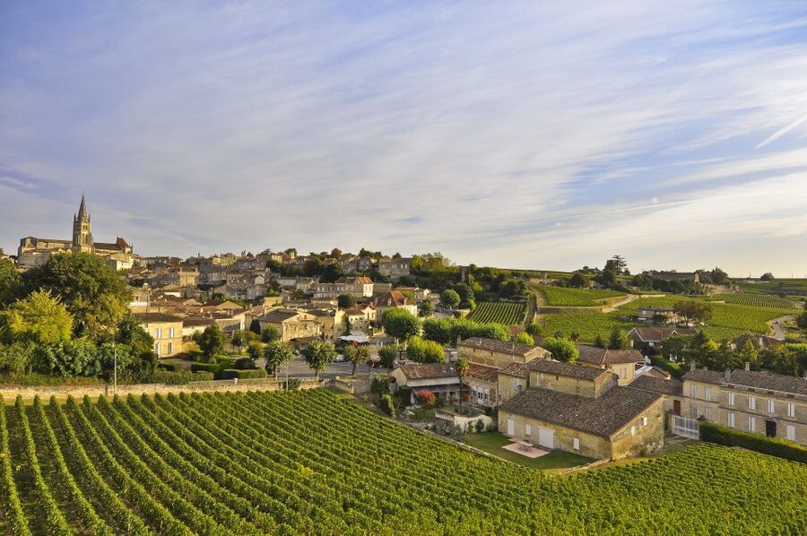 Bordeaux: Vineyards Wine Tasting Half-Day Trip - The guides and the bus ride: how language and pacing affect your experience