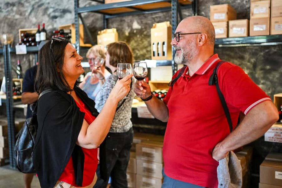 Bordeaux: Vineyards Wine Tasting Half-Day Trip - Médoc on Tuesday/Saturday: two château visits in classic Bordeaux style