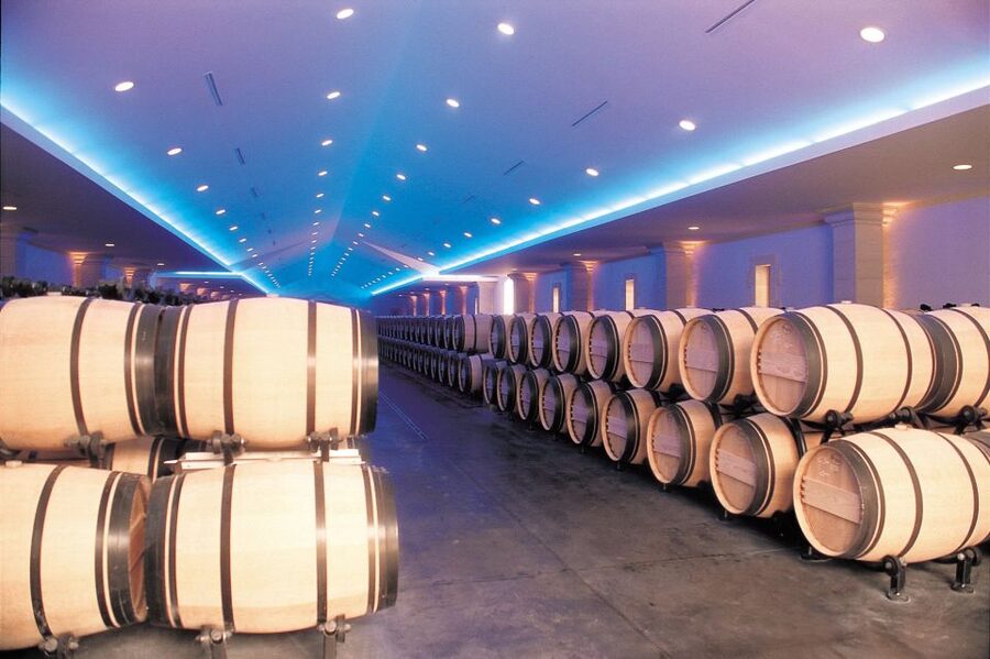 Bordeaux: Vineyards Wine Tasting Half-Day Trip - Blaye Citadel day on Fridays: UNESCO fortress first, then wine