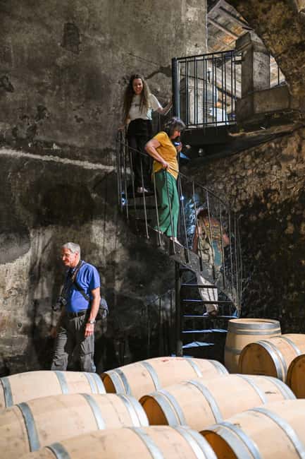 Bordeaux: Vineyards Wine Tasting Half-Day Trip - What the château visits feel like: tours + two wines each stop