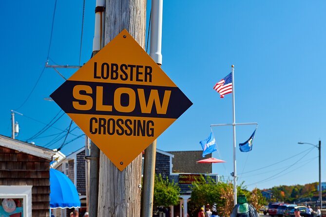 Boston to Kennebunkport Day Trip with Optional Trolley Tour - Perkins Cove: time to wander, snack, and maybe go lobster-boat