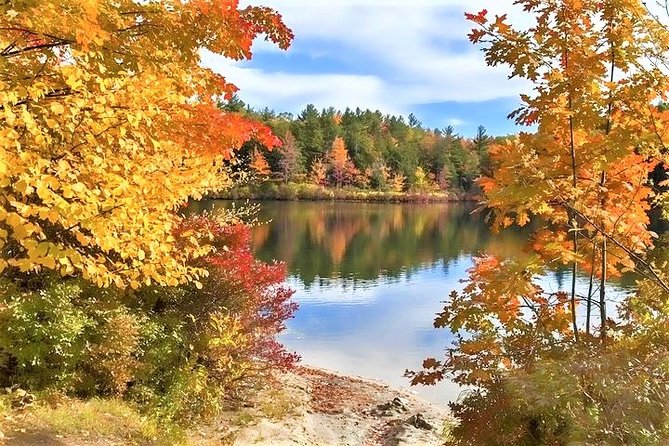 Boston to New Hampshire Fall Foliage White Mountains Day Trip - Hotel pickup and the guide’s live storytelling: why it’s easier than DIY