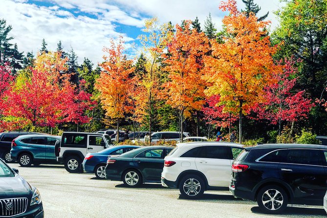 Boston to New Hampshire Fall Foliage White Mountains Day Trip - Timing, comfort, and restrooms in the mountains (the part people forget)