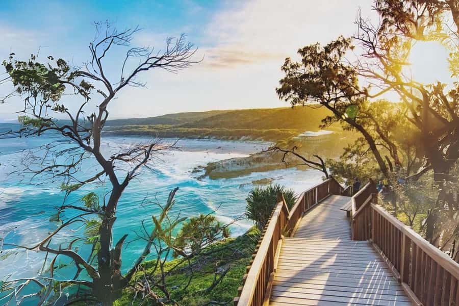 Brisbane to North Stradbroke Island Day: Wildlife & Beaches - Key highlights you’ll remember