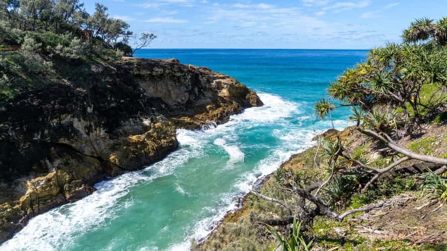 Brisbane to North Stradbroke Island Day: Wildlife & Beaches - Point Lookout and the North Gorge Walk: whales, kangaroos, and bird views