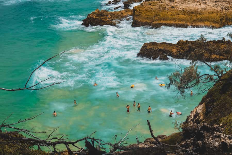 Brisbane to North Stradbroke Island Day: Wildlife & Beaches - Amity Point at sunset: koalas in gum trees and dolphins close to shore