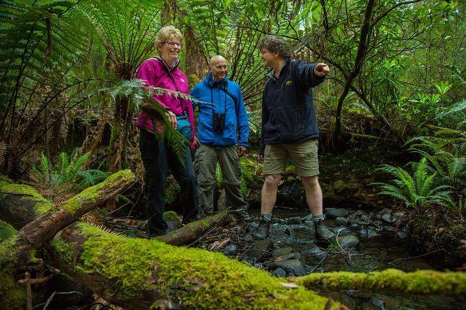 Bruny Island Traveller - Gourmet Tasting and Sightseeing Day Trip from Hobart - Bruny Island as a one-day gourmet circuit from Hobart