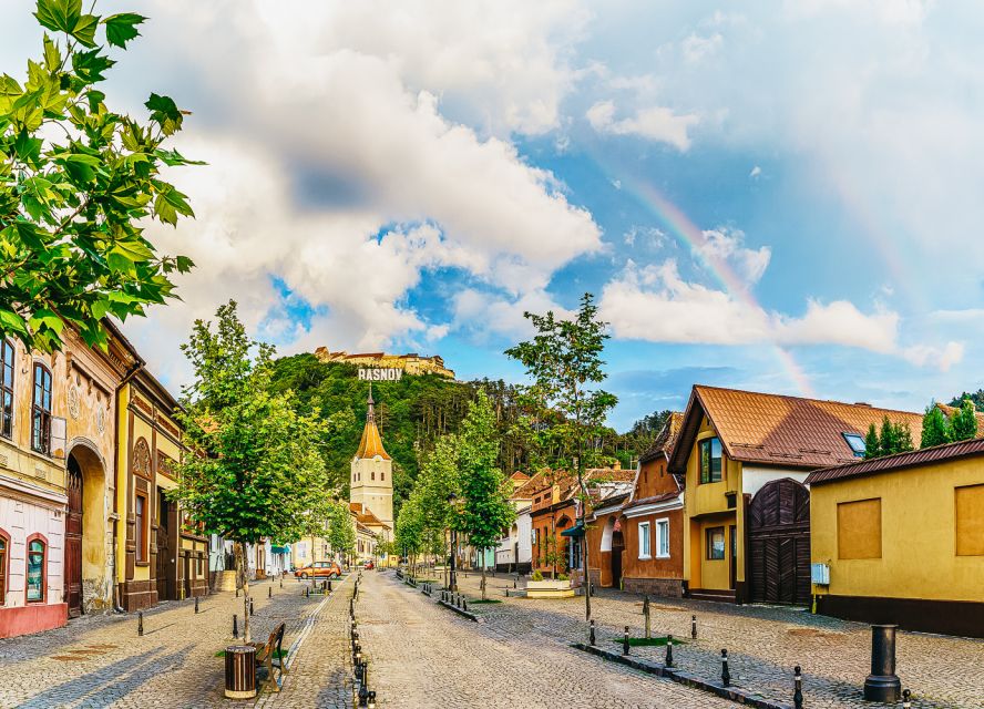 Bucharest: Bran & Peles Castle with Rasnov Citadel Day Trip - Road From Bucharest: how the day trip really moves