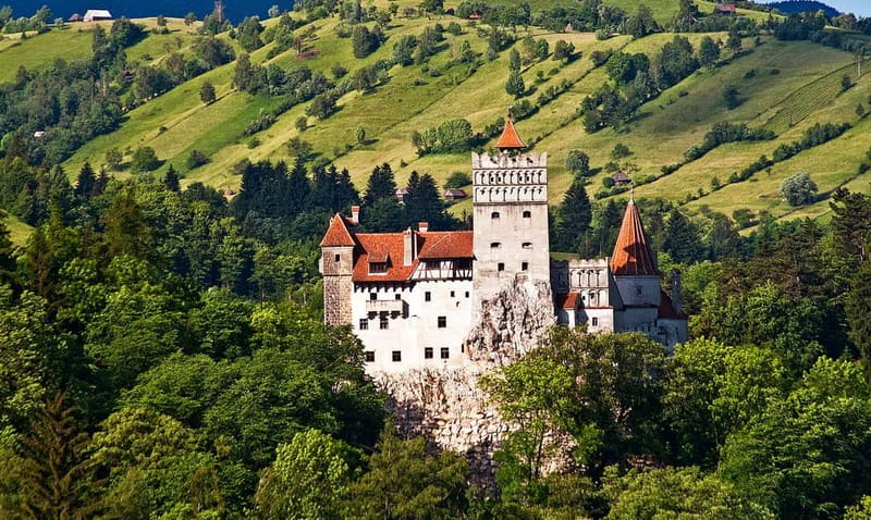 Bucharest: Day Trip to Bear Sanctuary, Bran Castle & Brasov - The Teddy Bear museum: the gentle contrast that makes it memorable